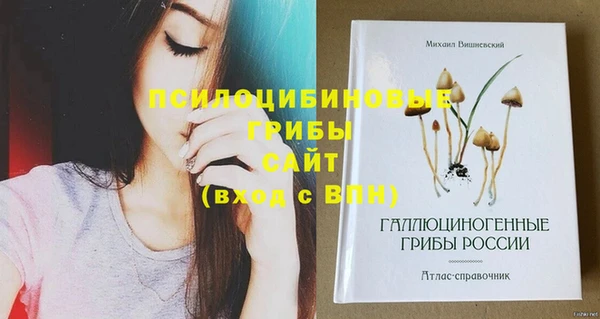 дживик Абаза