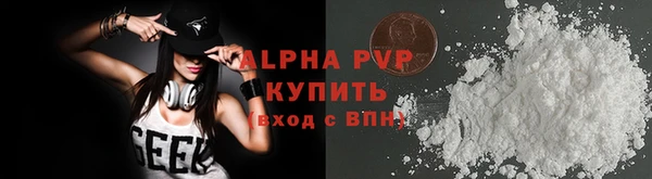 дживик Абаза