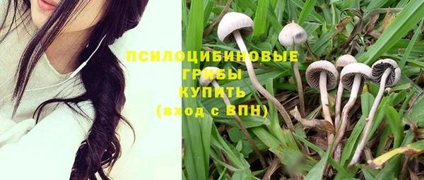 каннабис Абинск