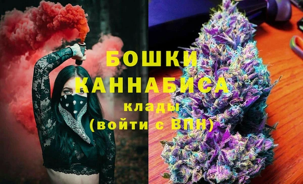 дживик Абаза