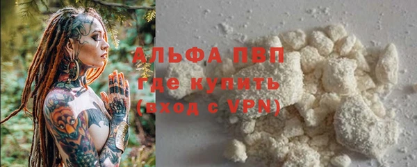 дживик Абаза