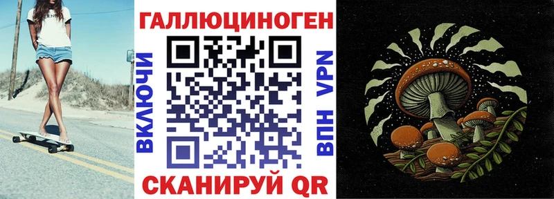 блэк спрут зеркало  сколько стоит  Поворино  нарко площадка состав  Галлюциногенные грибы GOLDEN TEACHER 
