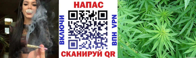 Каннабис OG Kush Поворино